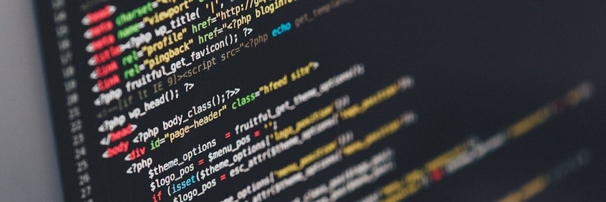 Desarrollo Web Profesional